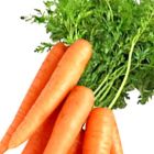 Употребление зеленого лука, моркови, капусты снижает чувствительность кожи к солнечным лучам